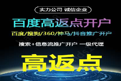 百度推广公司案例解析：如何利用大数据优化营销策略